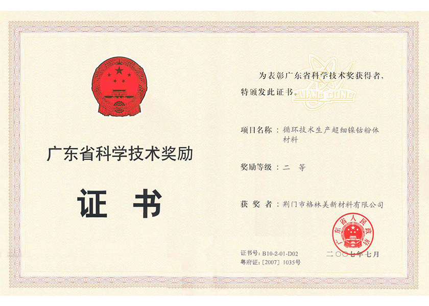 12.廣東省科學(xué)技術(shù)獎二等獎.png